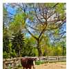 Riverdale Farm Resident