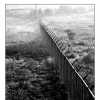Fence
