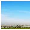 Woodbine Racetrack II