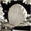 Hot Air Balloon in Infrared #2
