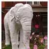 The Yarmouth Pachyderm