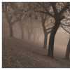 Fall Fog, Near Humber River