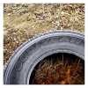 Goodyear with Frost