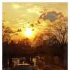 Sunset Over Underpass