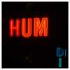 HUM DI