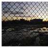 Through the Fence