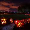 Sorauren Park Pumpkin Parade 2007