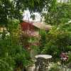Parkdale & Toronto Horticultural Society Garden Tour II