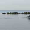 Rower