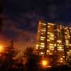 Out the back at night.