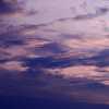 Early Morning Mauve