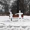 Wintery Couple in High Park (with dogs)