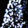 Lights